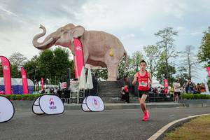 BIB: 
                            <button type="button" onclick="openModal(26528705)" class="btn btn-primary btn-sm float-right btn-popup" data-toggle="modal" data-target=".modal-high-quality">
                        <i class="fas fa-shopping-cart"></i> Add to Cart
                    </button>
                                            <button type="button" onclick="isThisMe(26528705, true)" class="btn btn-success btn-sm float-right btn-popup btn-isme hidden" data-toggle="tooltip" data-placement="bottom" title="นี่คือรูปของคุณใช่ไหม คลิกที่นี่เพื่อเอาเข้าอัลบั้ม">
                        <i class="fas fa-plus"></i> Add to album
                    </button>
                    <button type="button" onclick="isThisMe(26528705, false)" class="btn btn-warning btn-sm float-right btn-popup btn-isnotme hidden">
                        <i class="fas fa-ban"></i> Remove from album
                    </button>